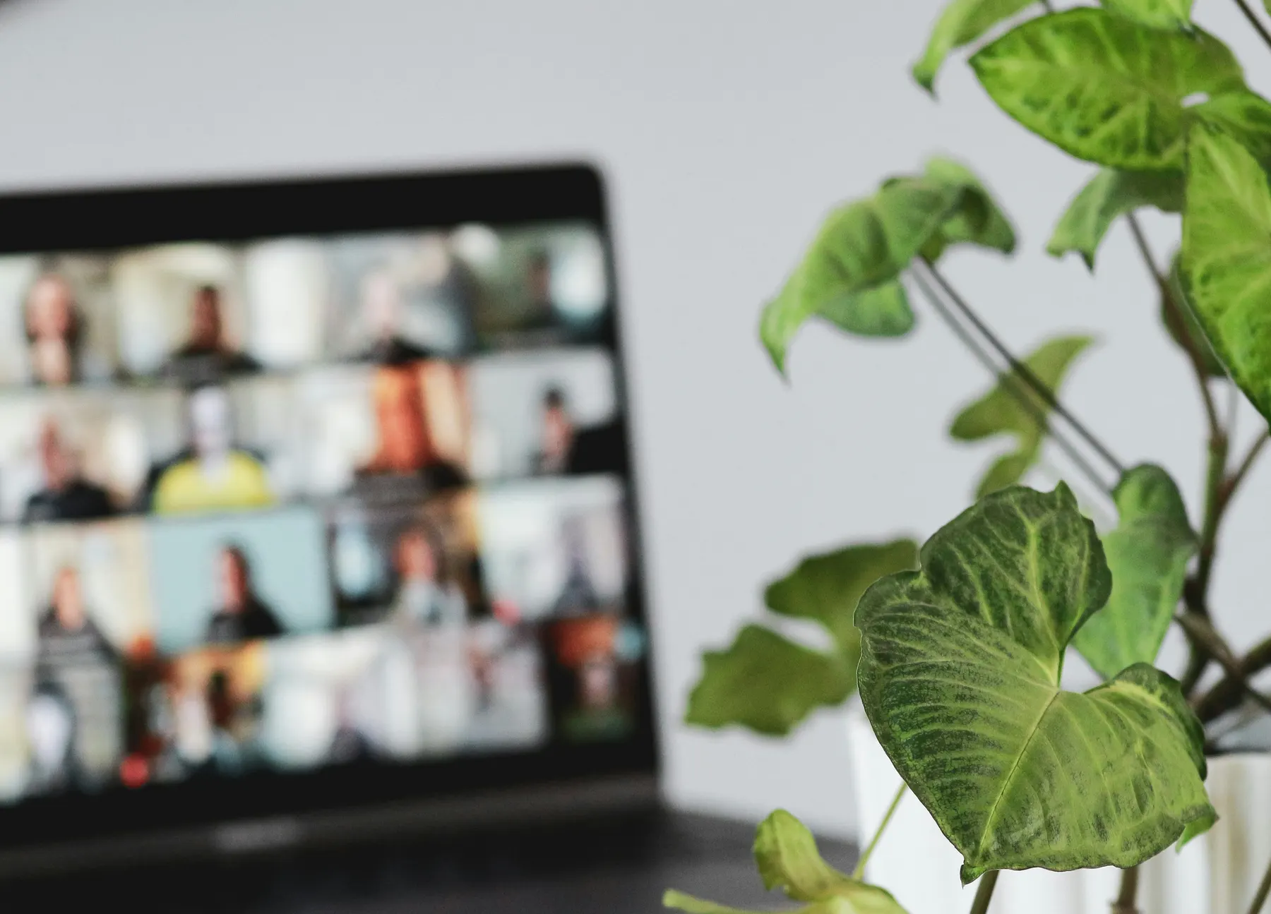 Online-Coaching mit einer Gruppe im Videocall